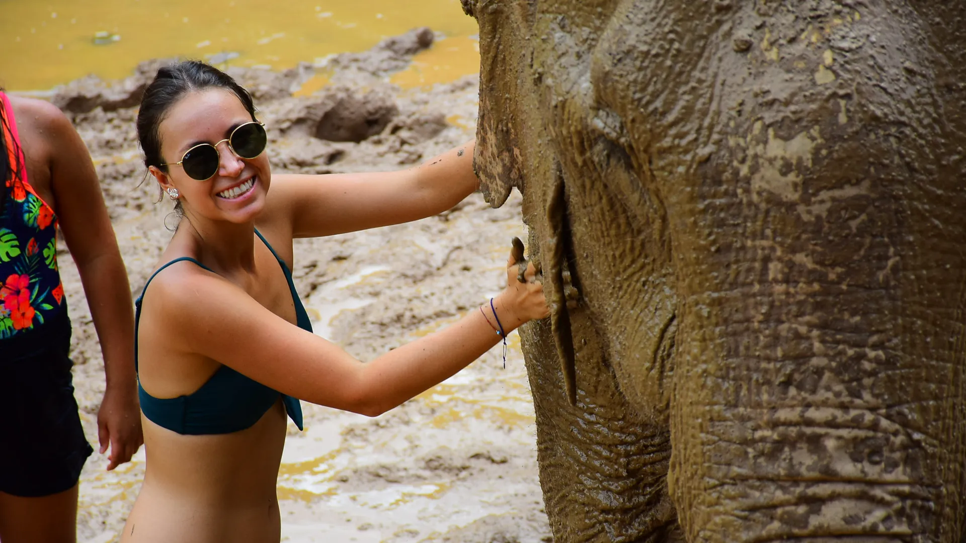 Half-day morning Elephant care program