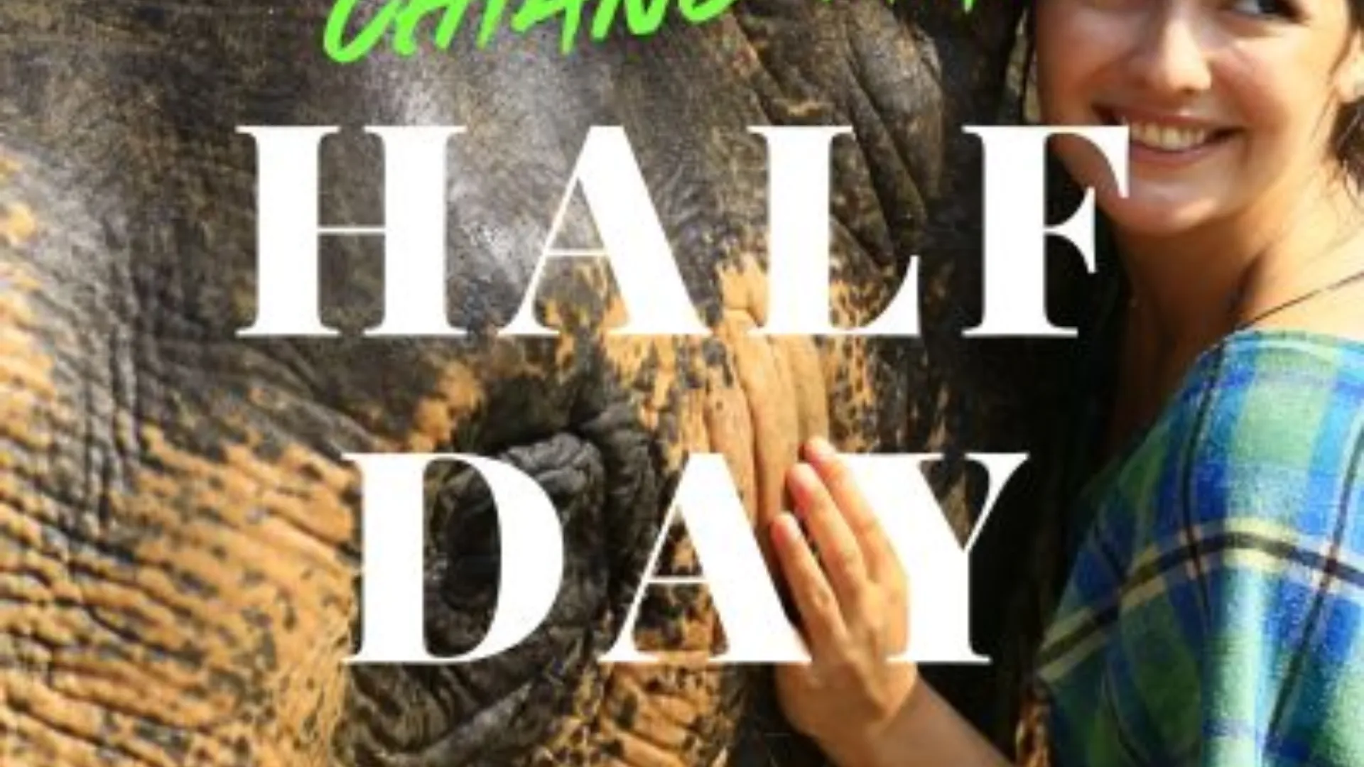 Half-Day Afternoon Elephant care program