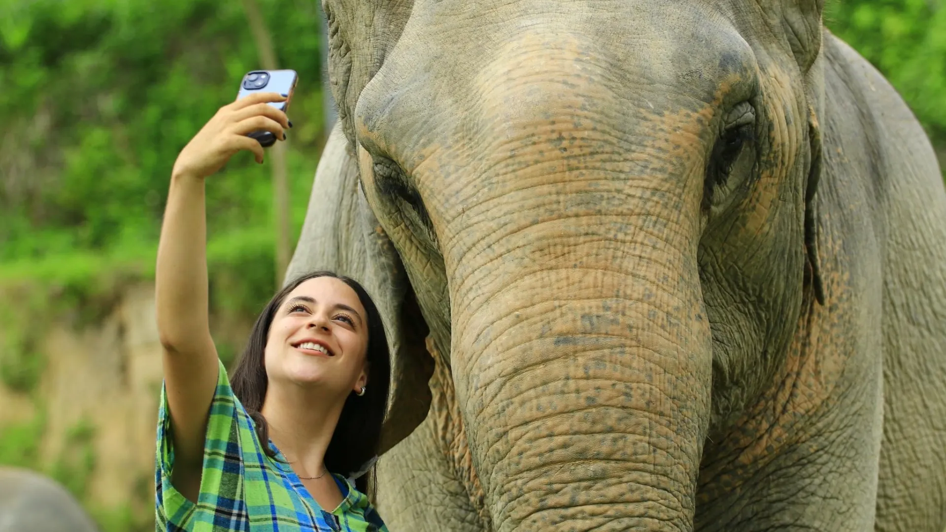 Half-Day Afternoon Elephant care program
