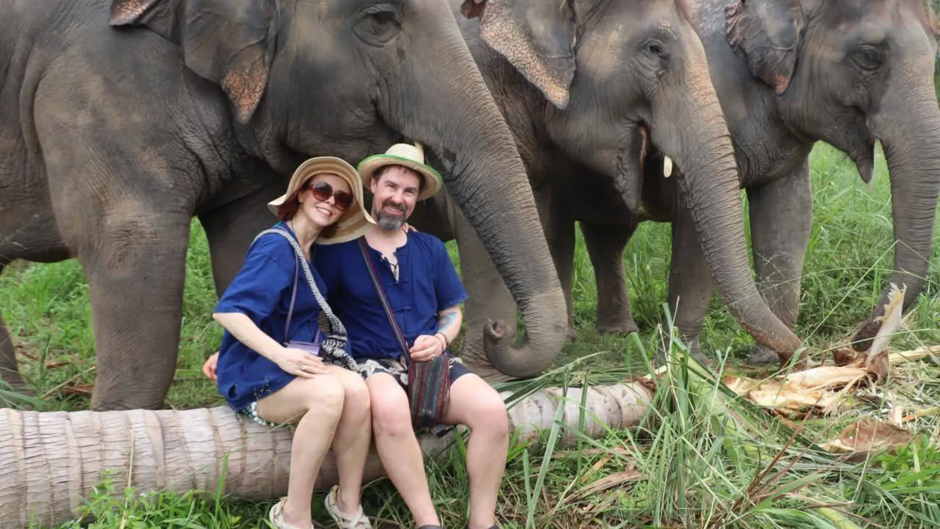 (Bangkok/Pattaya) Half Day Morning elephant care